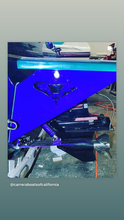 Swim Platform and Brackets all Makes and Models Ask for Quote